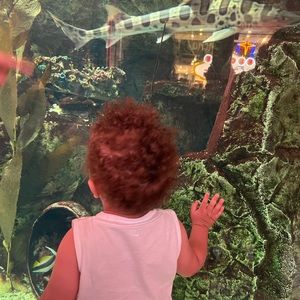 Meet your Posher, Heather